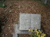 image of grave number 42221